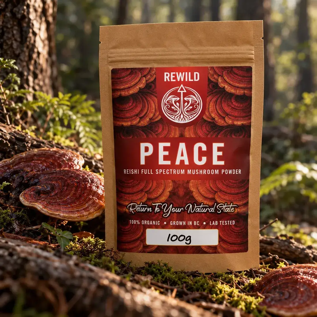 REWILD Peace Reishi powder pouch beside glossy Reishi on a forest log