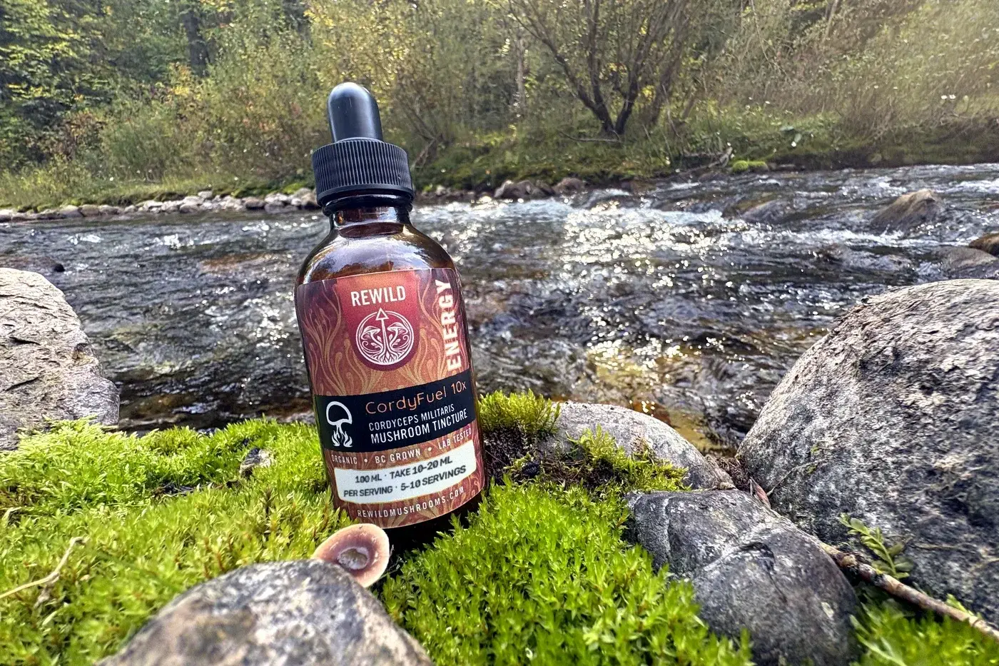 CordyFuel™ Cordyceps militaris tincture on moss beside a mountain river in the Kootenays